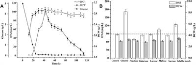 A Novel Strategy to Regulate 1-Deoxynojirimycin Production Based on Its Biosynthetic Pathway in Streptomyces lavendulae